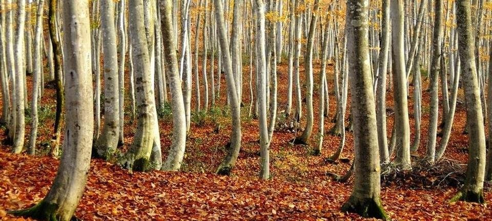 新潟｜*and trip. たびびと