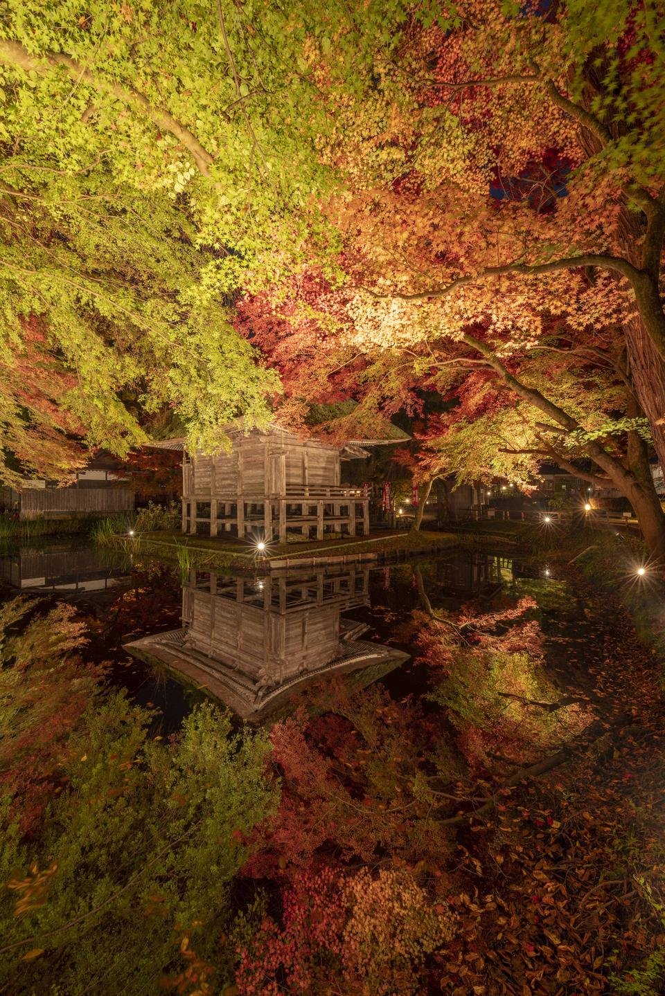 22年10月29日 絶景の平泉中尊寺紅葉ライトアップ 紅葉銀河22 が開催されます And Trip たびびと