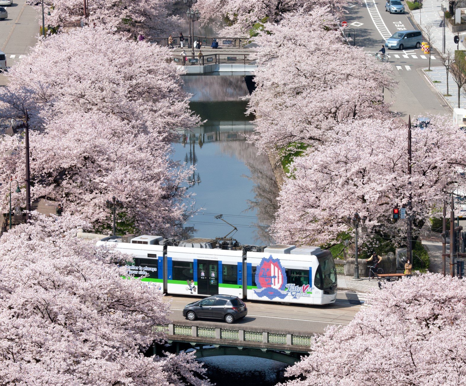 桜のトンネルを潜り抜ける遊覧船 松川 And Trip たびびと 桜のトンネルを潜り抜ける遊覧船 松川 And Trip たびびと