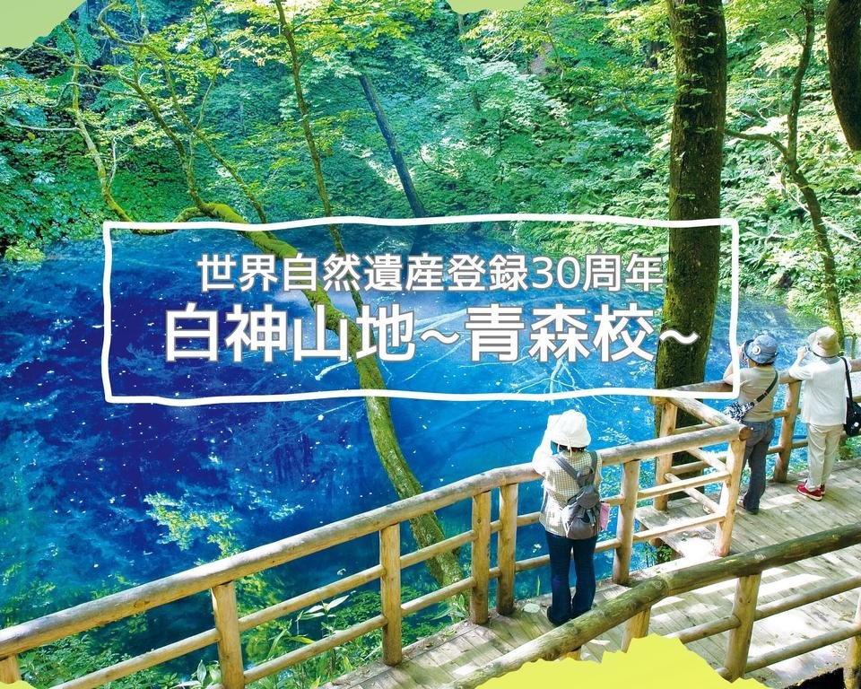 祝！世界自然遺産登録30周年 山のガイド同行ツアー【白神山地・青森校 ...