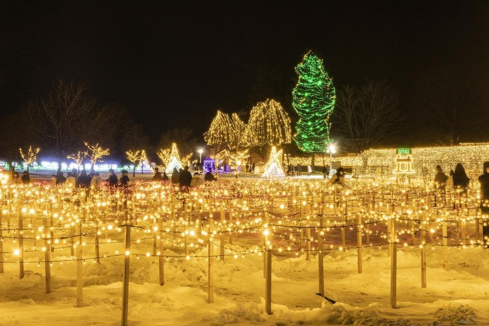 銀河農場の夜22 Koiwai Winter Lights 小岩井農場 And Trip たびびと